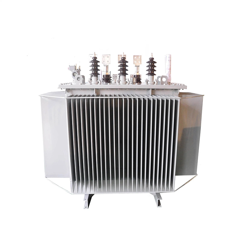 22kv Power Transformer 1000kva Oil nyemplungaken